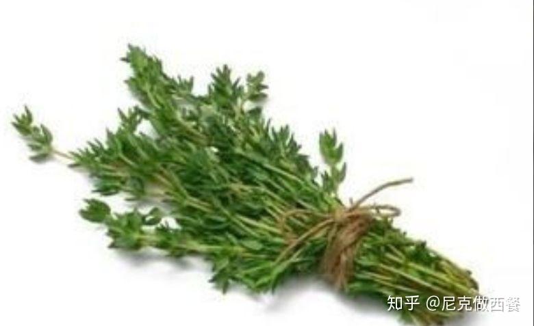 蘑菇西餐_中西餐蘑菇_西餐蘑菇叫什么名字