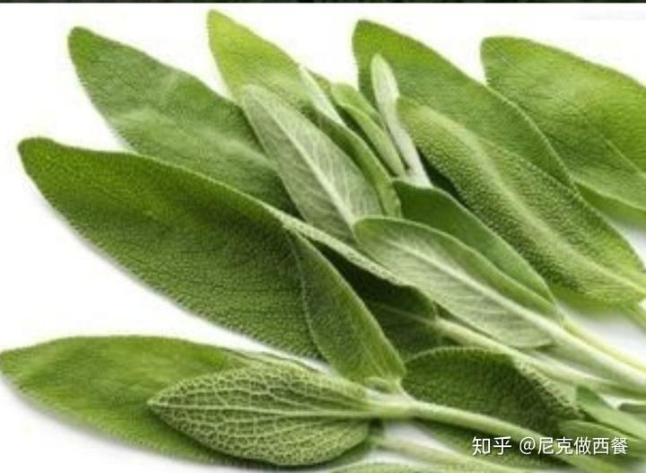 蘑菇西餐_中西餐蘑菇_西餐蘑菇叫什么名字