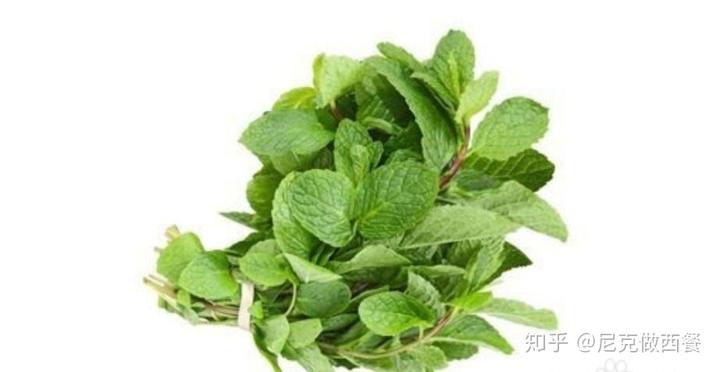 蘑菇西餐_中西餐蘑菇_西餐蘑菇叫什么名字