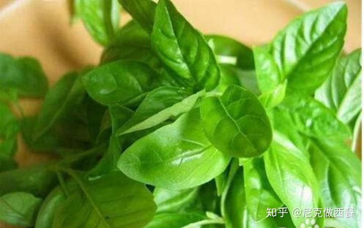 西餐蘑菇叫什么名字_中西餐蘑菇_蘑菇西餐