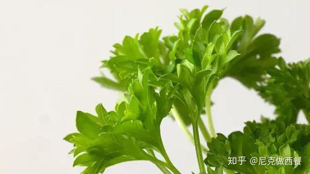 西餐蘑菇叫什么名字_蘑菇西餐_中西餐蘑菇