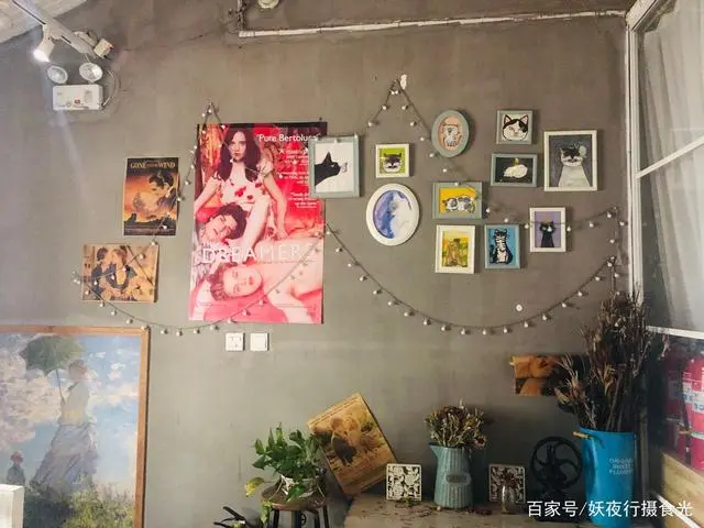 猫咖啡馆馆主_猫宅咖啡馆_猫宅咖啡旅馆