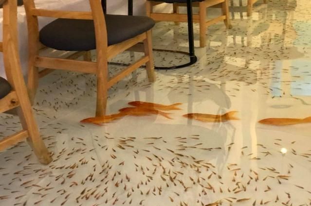 猫宅咖啡馆_猫咪咖啡馆的猫太可怜了_咖啡馆猫
