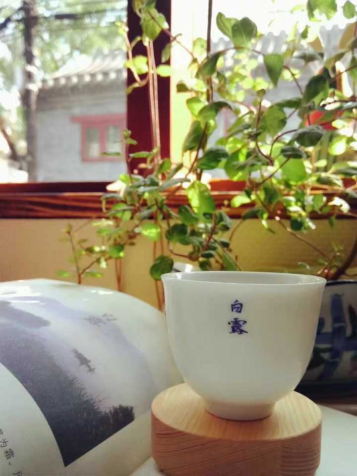 咖啡店心得体会范文大全_咖啡店心得_咖啡馆心得