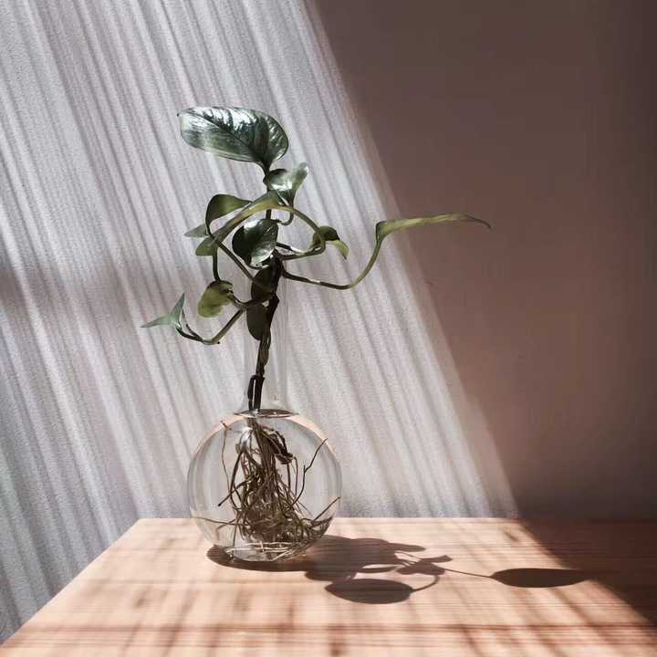 咖啡馆心得_咖啡店心得体会范文大全_咖啡店心得