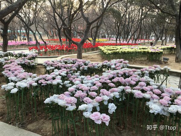 秦皇岛美食推荐排行榜_秦皇岛美食推荐_秦皇岛美食推荐图片