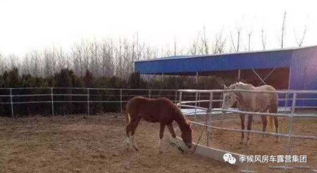 南通哪里有卖咖啡机_南通集装箱咖啡厅哪家好_南通有包厢的咖啡厅