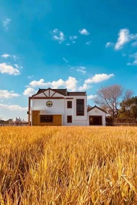 田园风咖啡厅_田园风咖啡厅装修效果图_田园风咖啡馆有哪些