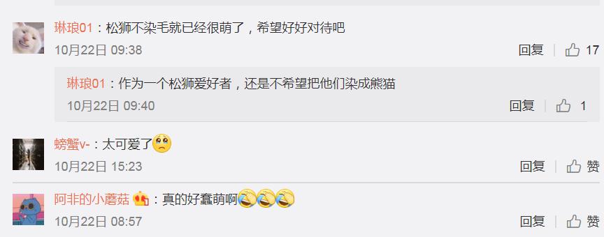 狗狗咖啡店经营_狗咖啡厅一个月能赚多少_狗狗咖啡馆赚钱吗