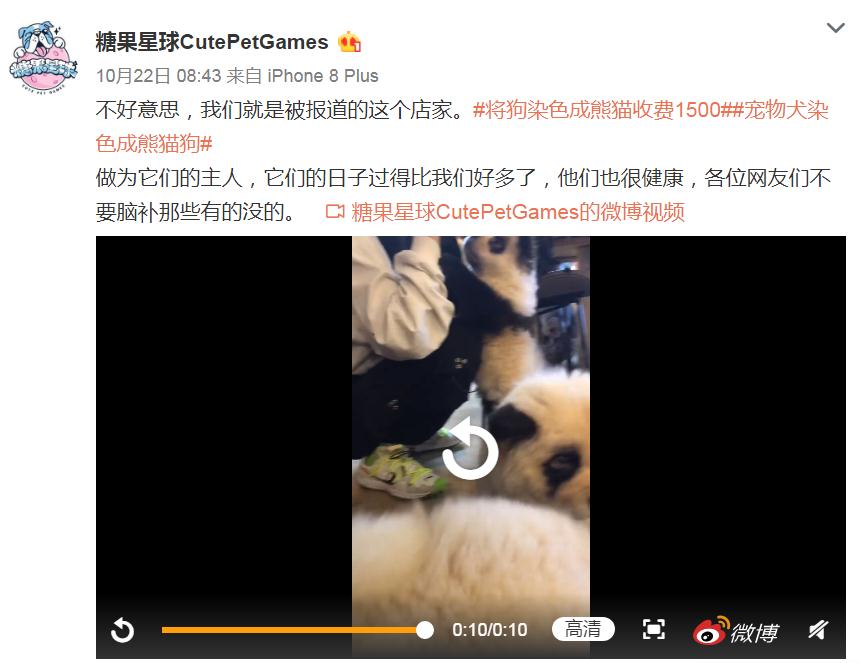 狗狗咖啡馆赚钱吗_狗狗咖啡店经营_狗咖啡厅一个月能赚多少