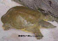 渭南人气美食_渭南必吃美食_渭南市美食