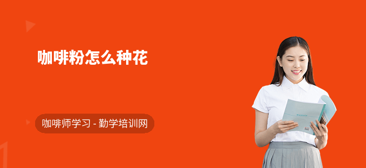 咖啡粉怎么种花