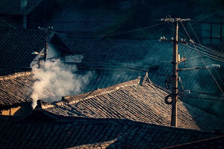 裹着树叶的糕点图片_树叶糕怎么包_树叶包着的糕点