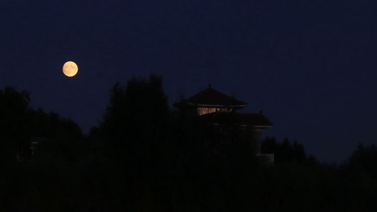 树叶包着的糕点_裹着树叶的糕点图片_树叶糕怎么包