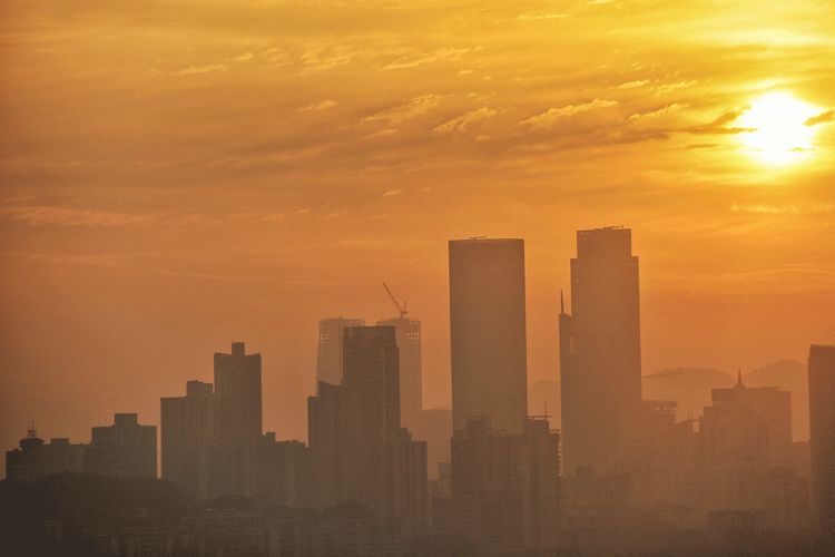 树叶包着的糕点_树叶糕怎么包_裹着树叶的糕点图片