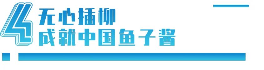 餐桌西餐礼仪幼儿园_西餐的餐桌_餐桌西餐礼仪